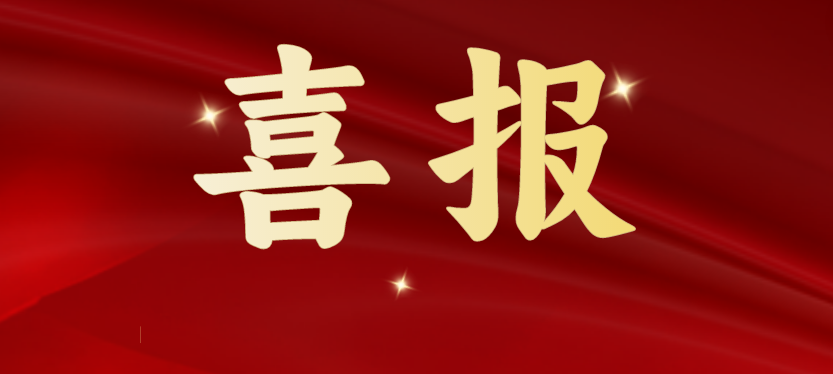 斩获多项重磅级行业荣誉，LDSports乐动载誉开启2024！