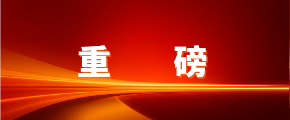 重磅！LDSports乐动入选深圳物流与供应链服务进出口企业30强，赋能企业出海